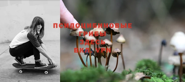 амф Алексеевка