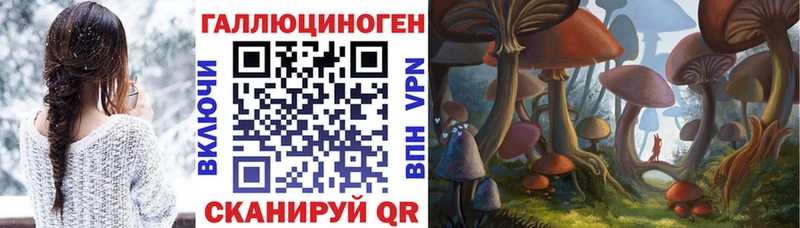Галлюциногенные грибы мицелий Сельцо